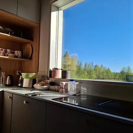 Sauna Рованиеми